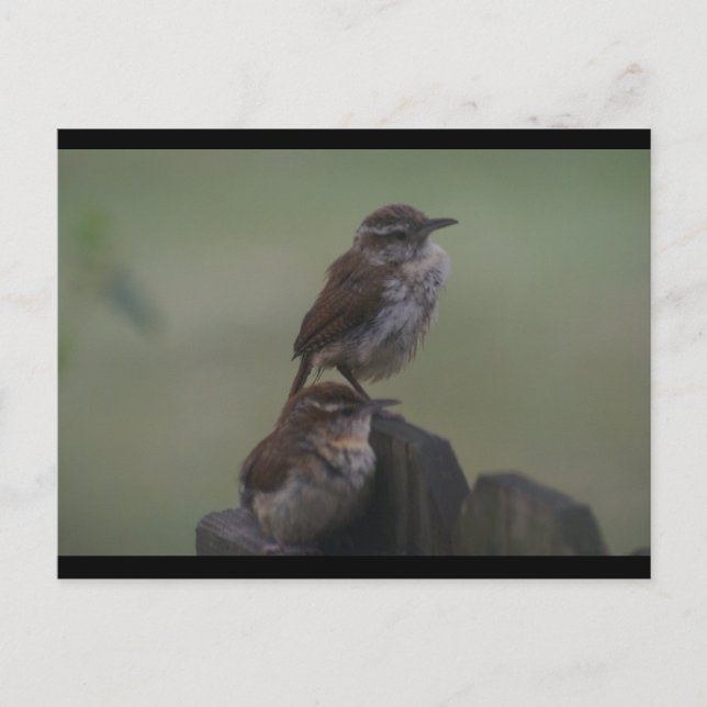 DSC07310 VYKORT (Framsida)