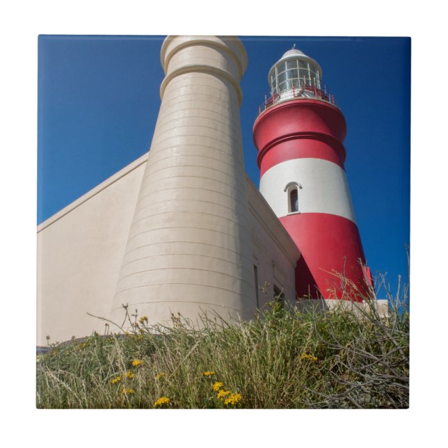 _DSC2418 KAKELPLATTA (Framsidan)