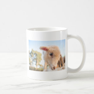 _DSC2491 KAFFEMUGG