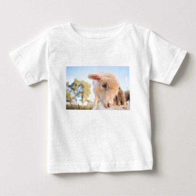 _DSC2491 TEE SHIRT (Framsida)