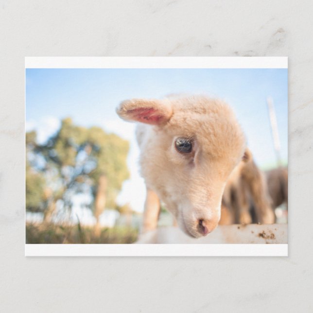 _DSC2491 VYKORT (Framsida)