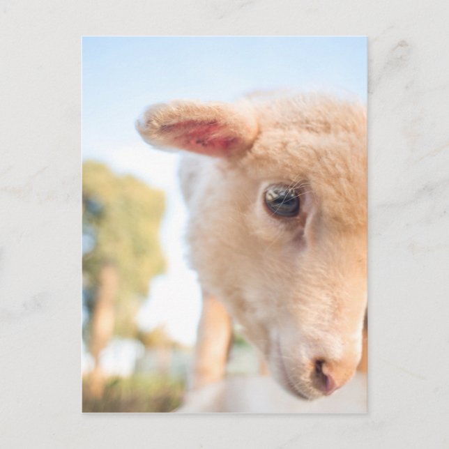 _DSC2491 VYKORT (Framsida)