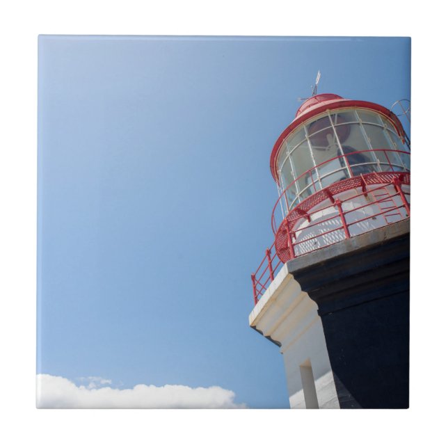 _DSC3440 KAKELPLATTA (Framsidan)