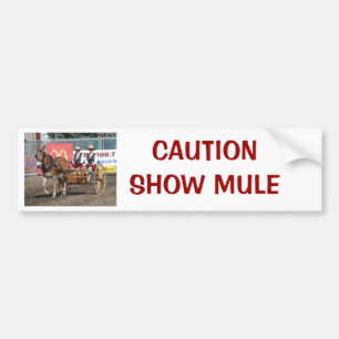 DSC_0007 CAUTIONSHOW-MULE BILDEKAL