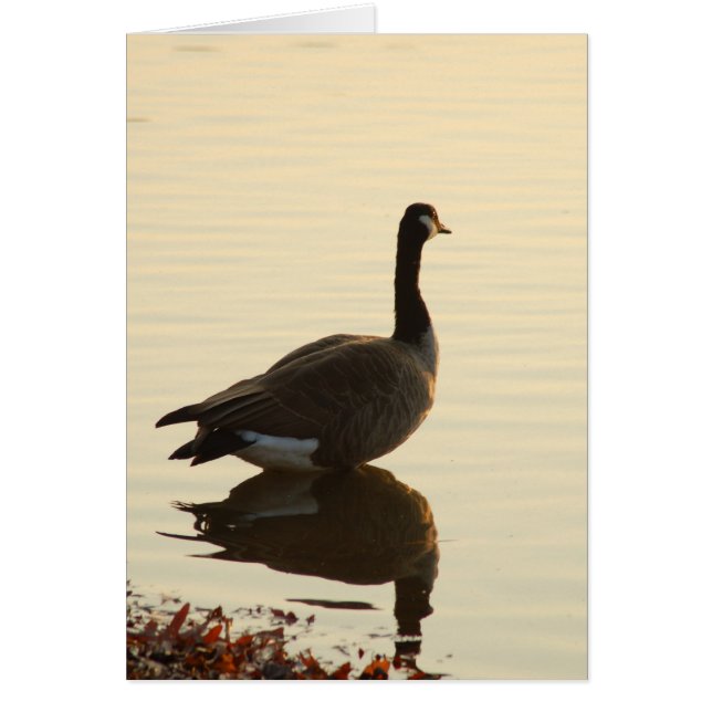 DSC_0068 OBS KORT (Framsidan)