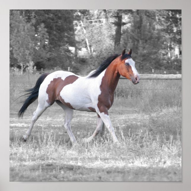 DSC_0110 POSTER (Framsidan)