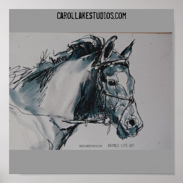 DSC_0462, Djur. Livet. Art. CarolLakeStudio.. Poster (Framsidan)