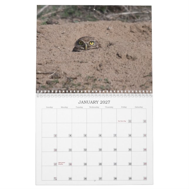 DSC_2816 2011 KALENDER (Jan 2027)