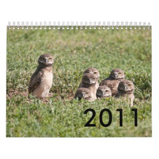 DSC_2816 2011 KALENDER