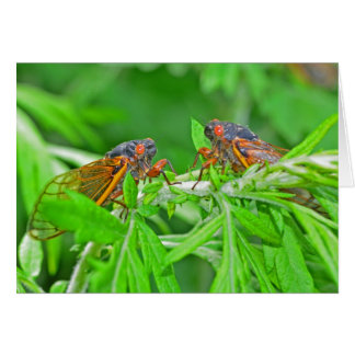 DSC_3480ps.jpg Hälsningskort