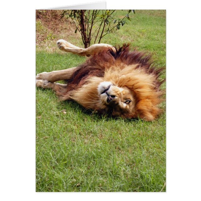 DSC_3914e Hälsningskort (Framsidan)