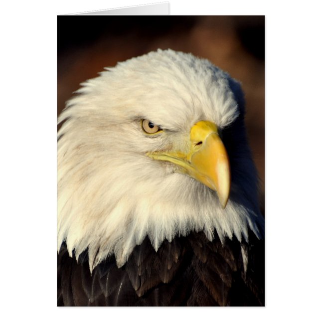 DSC_7279 HÄLSNINGSKORT (Framsidan)