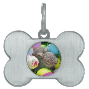 DSCF0438.JPG ID-bricka HUSDJUR