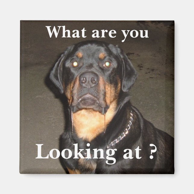 DSCF0490, Vad är du, Tittar på? Magnet (Framsidan)