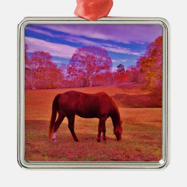 DSCF0536.JPG JULGRANSPRYDNAD METALL (Framsidan)