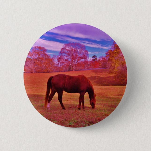 DSCF0536.JPG KNAPP (Framsida)