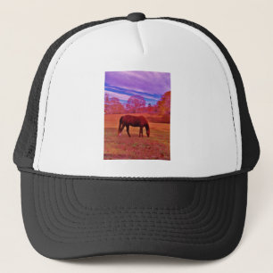 DSCF0536.JPG TRUCKERKEPS