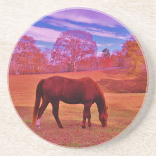 DSCF0536.JPG UNDERLÄGG