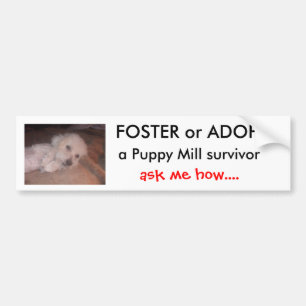 DSCF0636 VÅRDAR eller ADOPTERAR                   Bildekal