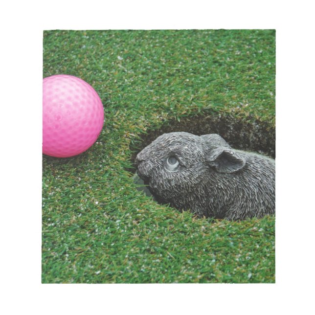 DSCF0652.JPG ANTECKNINGSBLOCK (Framsida)