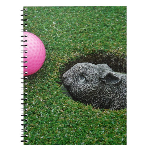 DSCF0652.JPG ANTECKNINGSBOK MED SPIRAL (Framsidan)