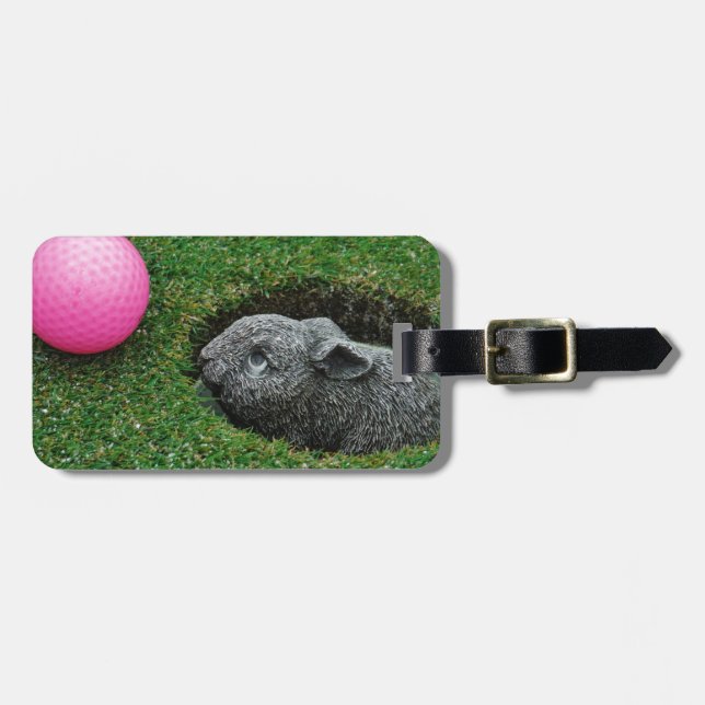 DSCF0652.JPG BAGAGEBRICKA (Horisontell Framsida)