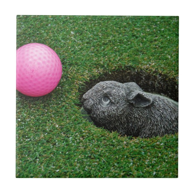 DSCF0652.JPG KAKELPLATTA (Framsidan)