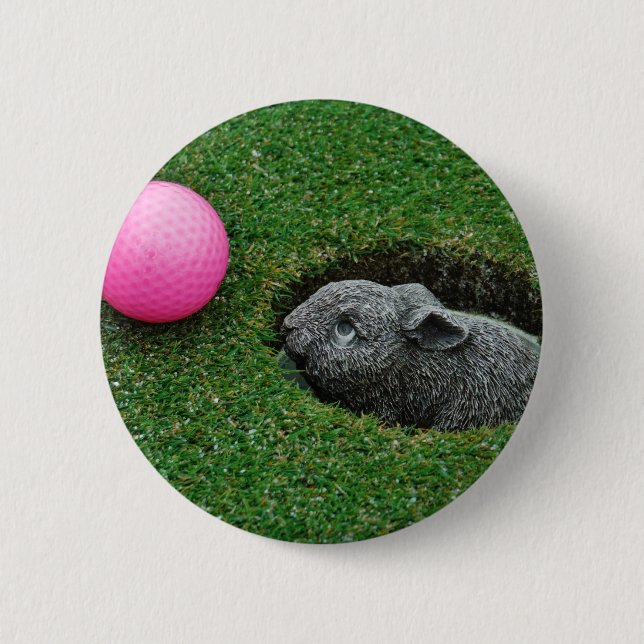 DSCF0652.JPG KNAPP (Framsida)