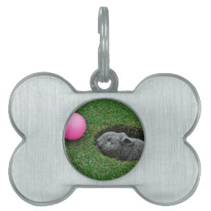 DSCF0652.JPG NAMNBRICKA HUSDJUR