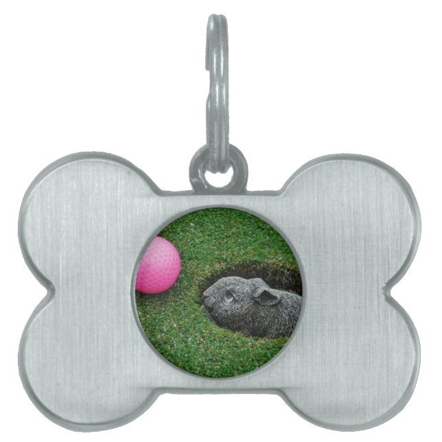 DSCF0652.JPG NAMNBRICKA HUSDJUR (Framsidan)