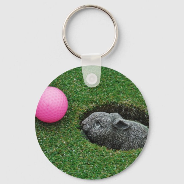 DSCF0652.JPG NYCKELRING (Framsida)