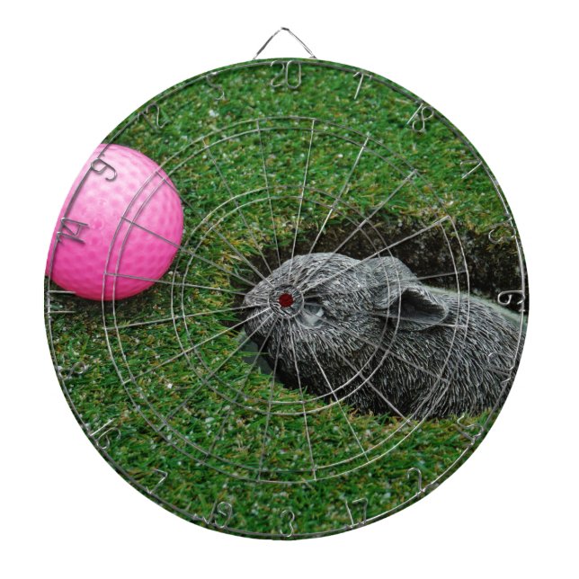 DSCF0652.JPG PILTAVLA (Framsidan)