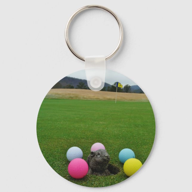 DSCF0692.JPG NYCKELRING (Framsida)