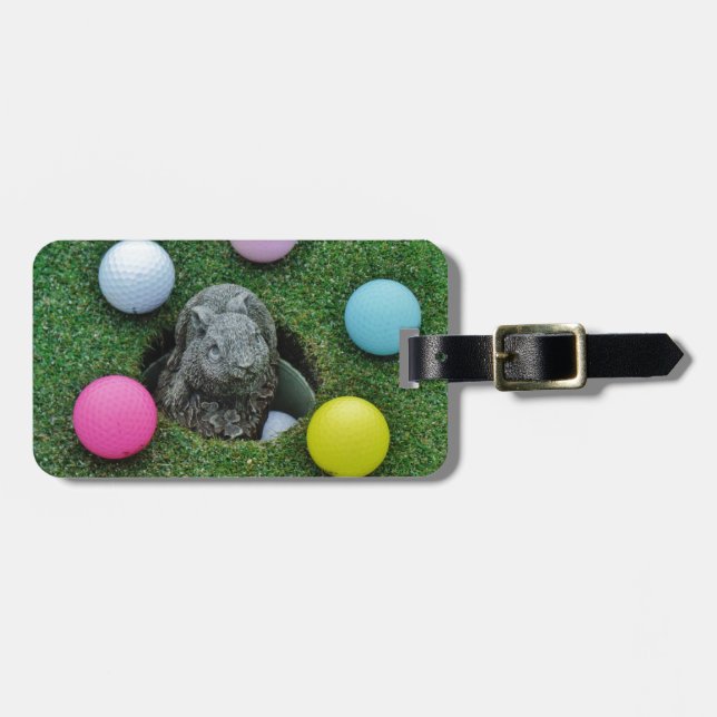 DSCF0698.JPG BAGAGEBRICKA (Horisontell Framsida)