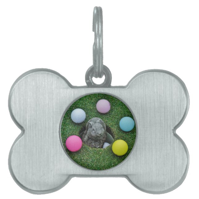 DSCF0698.JPG ID-bricka HUSDJUR (Framsidan)