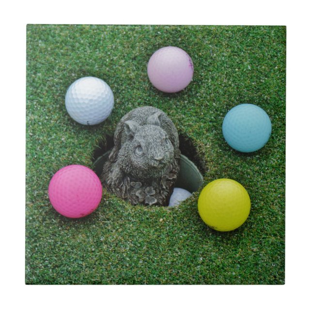 DSCF0698.JPG KAKELPLATTA (Framsidan)