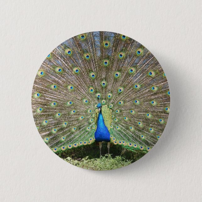 DSCF1062 KNAPP (Framsida)