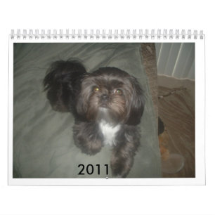 DSCF1937 2011 KALENDER