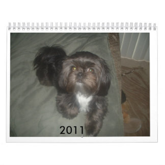 DSCF1937                             2011 KALENDER