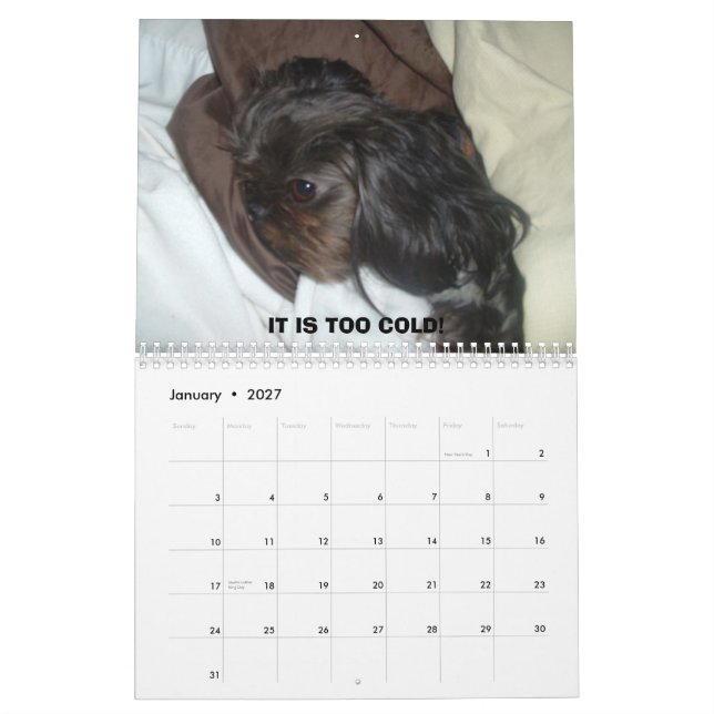 DSCF1937                             2011 KALENDER (Jan 2027)