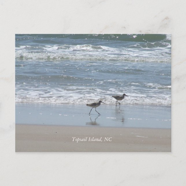 DSCF2949, Topsail Island, NC Vykort (Framsida)