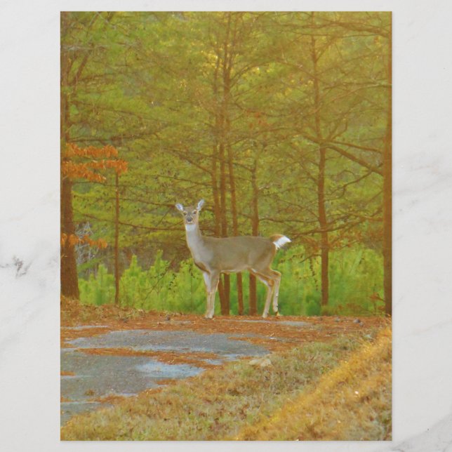 DSCF4041.JPG (Framsida)