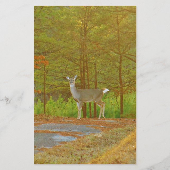 DSCF4041.JPG BREVPAPPER (Framsida)