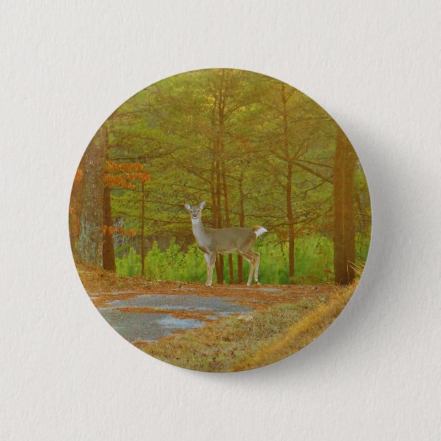 DSCF4041.JPG KNAPP (Framsida)