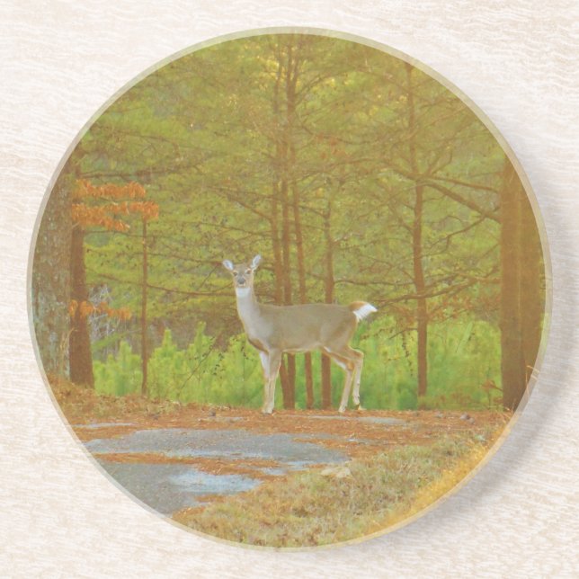 DSCF4041.JPG UNDERLÄGG (Framsidan)