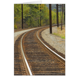 DSCF6914 ~in din words~ Hälsningskort