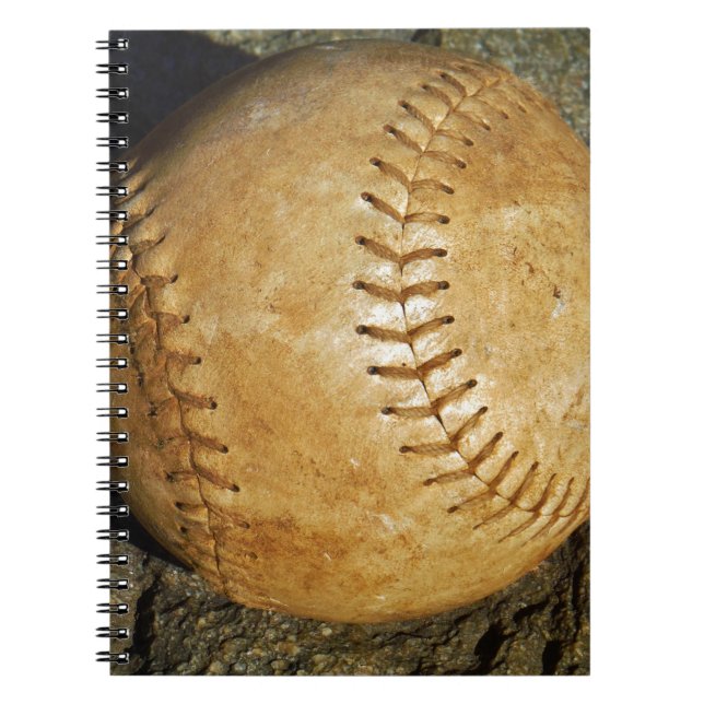 DSCF7523.JPG ANTECKNINGSBOK (Framsidan)