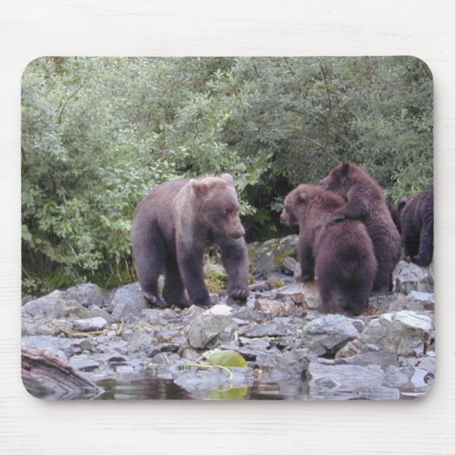 DSCN0088 MUSMATTA (Framsidan)