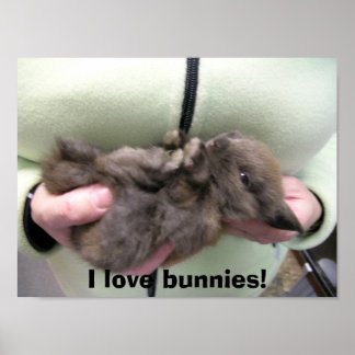 DSCN0356, I kärlek bunnies! Poster
