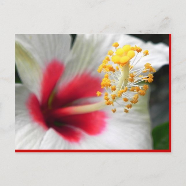 DSCN0387 VYKORT (Framsida)